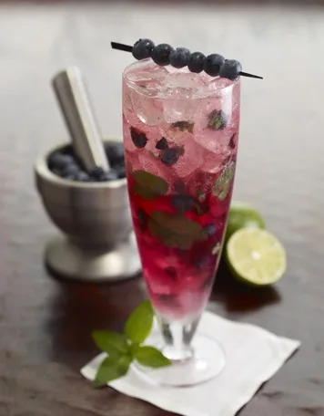 Fork & Nice: Navigating a Culinary Voyage in Cape Town