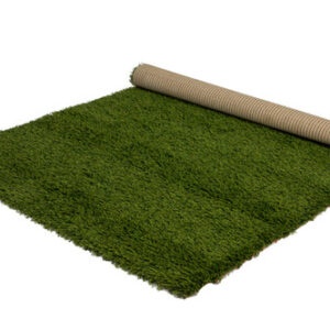 Green Shaggy Carpet