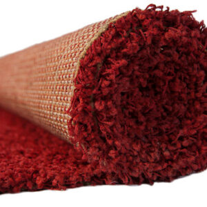 Red Shaggy Carpet