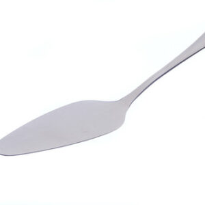 Silver Cake Lifter