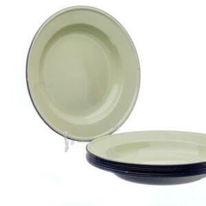 Mint Enamel Plate