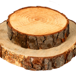 Wood Slice Large