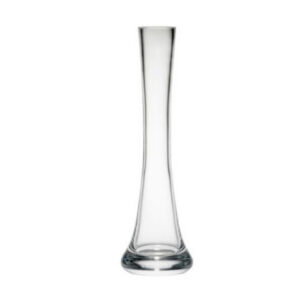 Glass Speci Vase