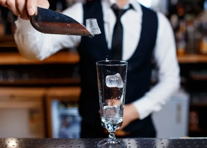 Fork & Nice: Unveiling Gourmet Renaissance in Cape Town